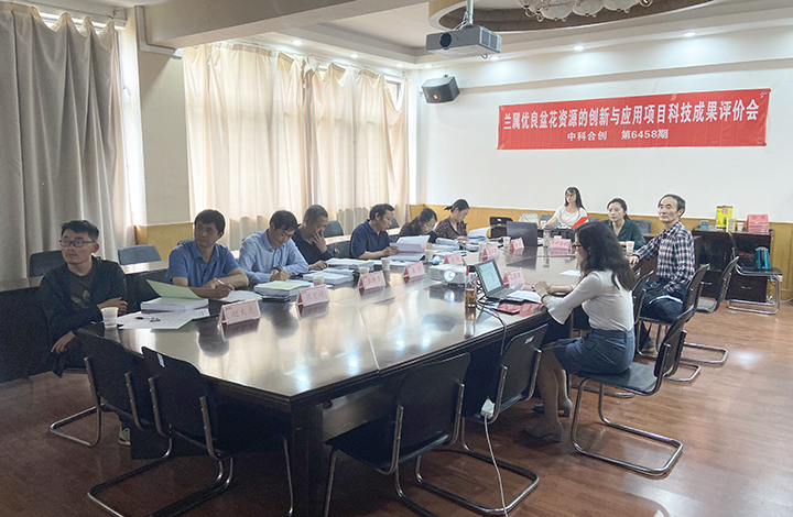 兰属优良盆花资源的创新与应用 xiao.jpg